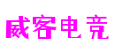 湖北省武汉市威客电竞智控科技有限公司